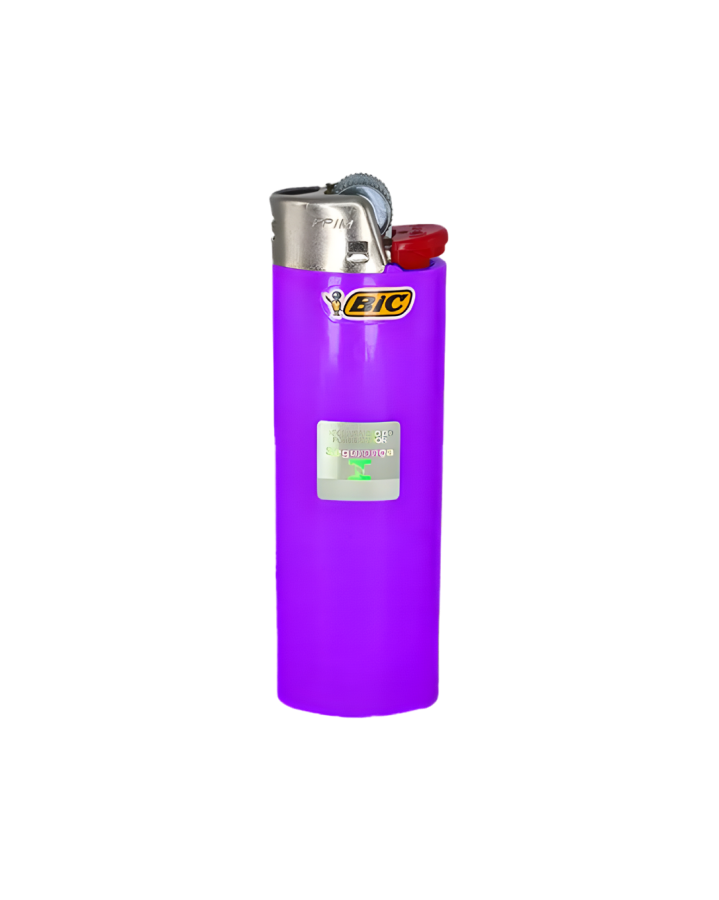 BIC MAXI - ROXO