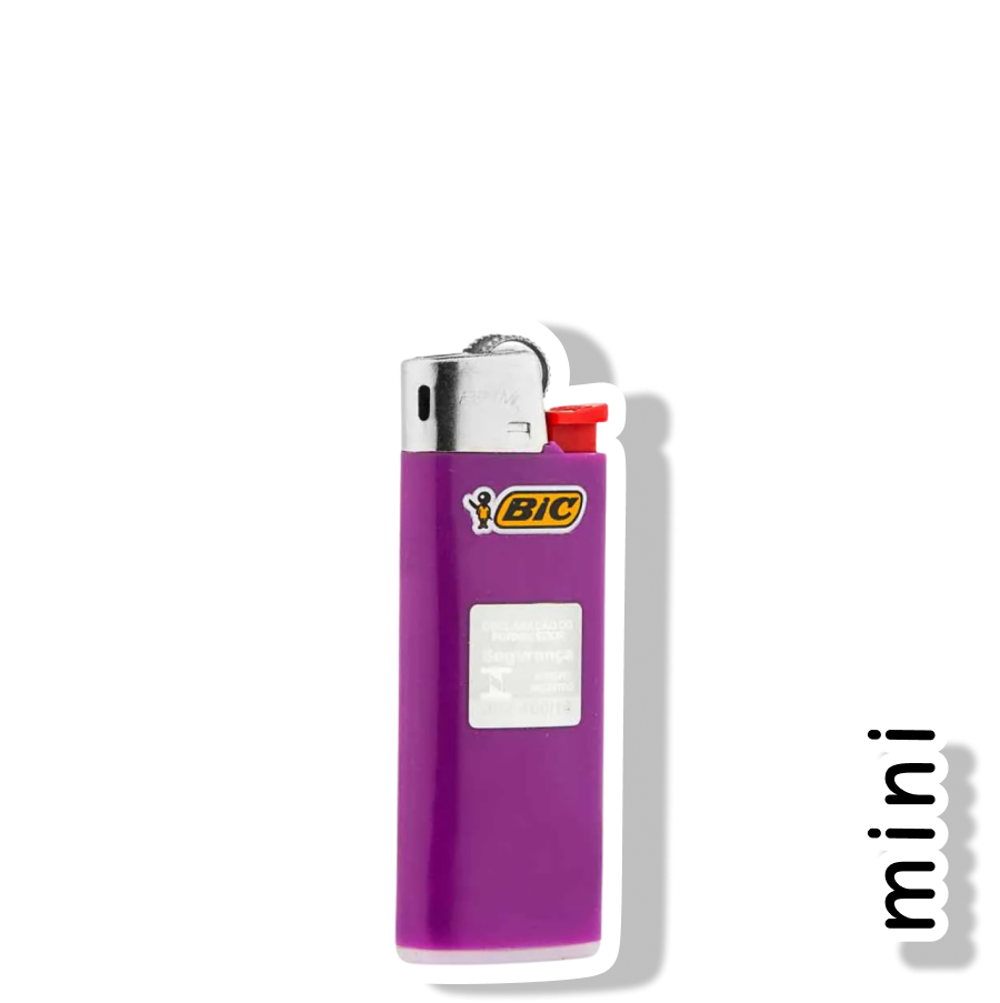 BIC MINI - ROXO
